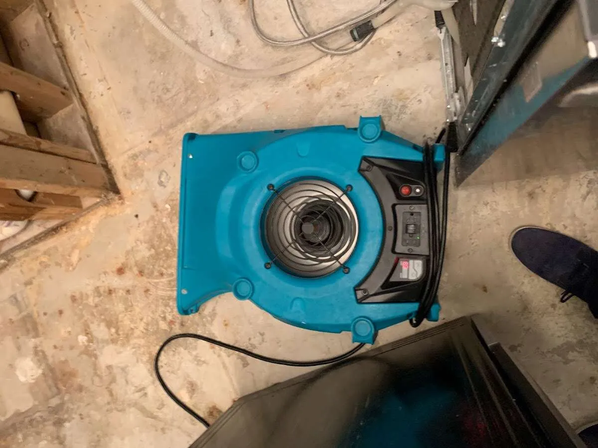 Air mover drying equipment for Mold Remediation & Removal in Thornapple